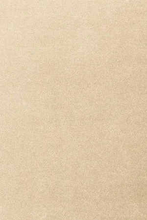 Ковровое покрытие AW Oinone 34 - (4м) в Казани