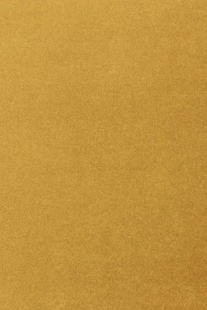 Ковровое покрытие AW Oinone 54 - (4м) в Казани