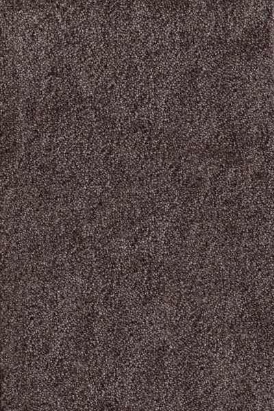 Ковровое покрытие AW Messalina 44 - (4м) в Казани