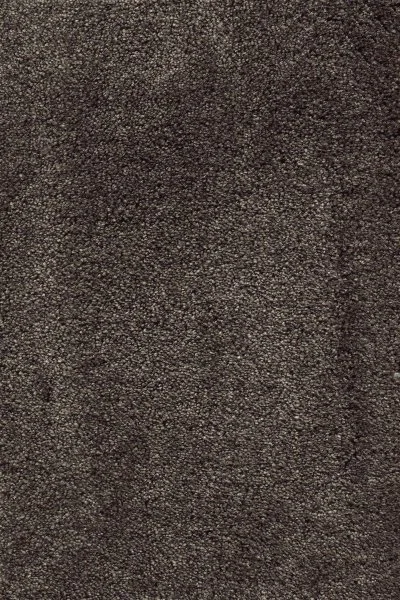 Ковровое покрытие AW Fedone 44 - (5м) в Казани