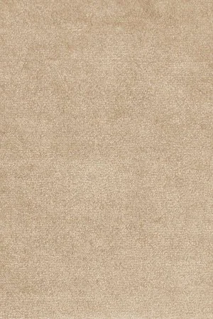 Ковровое покрытие AW Omphale 37 - (4м) в Казани