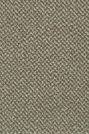 Ковровое покрытие AW Stainaway Tweed 24 - (4м) в Казани