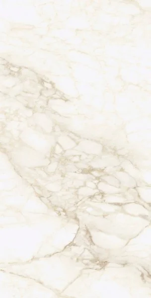 Керамогранит Coliseum Микеланджело Ворм 60х120 (Натуральный и Реттифицированный) в Казани