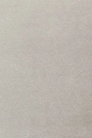 Ковровое покрытие AW Oinone 92 - (5м) в Казани