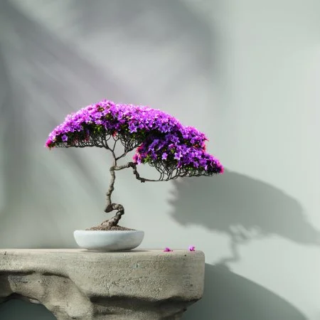 Обои Loymina Lotus LOT1 112 в Казани