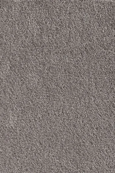 Ковровое покрытие AW Messalina 49 - (5м) в Казани