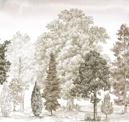 Обои Loymina Пейзаж vol. 2 ART14 012 в Казани