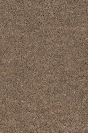 Ковровое покрытие AW Euphoria 36 - (4м) в Казани