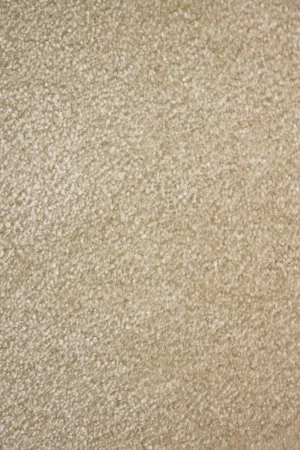 Ковровое покрытие AW Euphoria 33 - (4м) в Казани