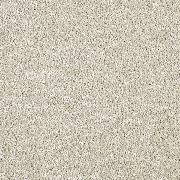 Ковровое покрытие AW Kiama 39 - (5м) в Казани