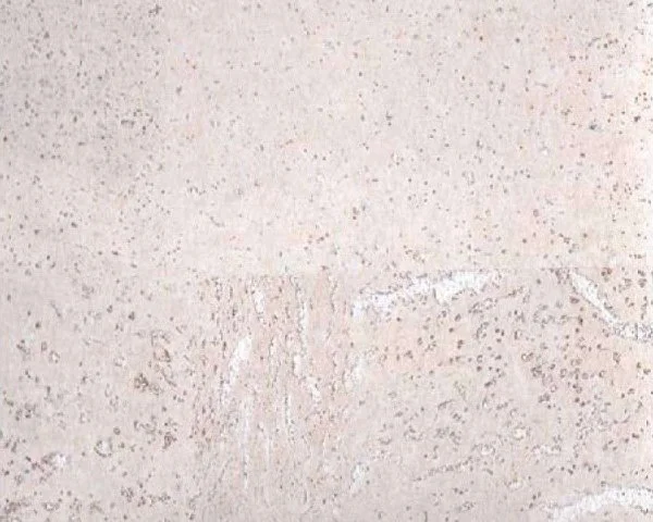 Настенное пробковое покрытие CorkArt PW 386 WS в Казани