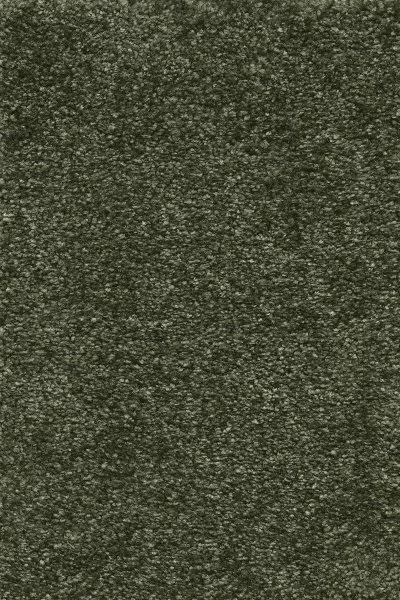 Ковровое покрытие AW Certosa 24 - (4м) в Казани