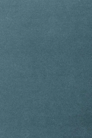 Ковровое покрытие AW Oinone 74 - (4м) в Казани