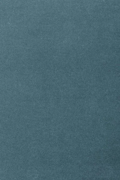 Ковровое покрытие AW Oinone 74 - (5м) в Казани