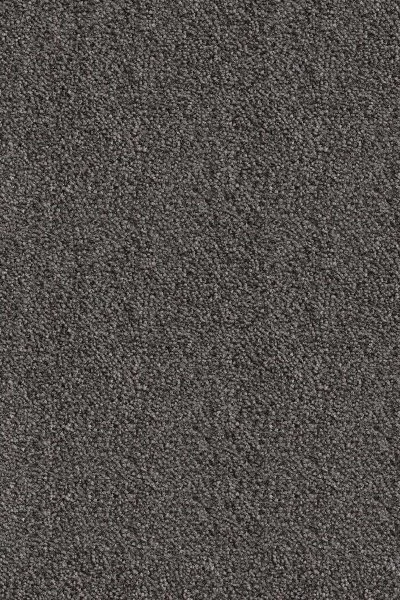 Ковровое покрытие AW Messalina 99 - (5м) в Казани