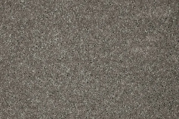 Ковровое покрытие AW Gala 94 - (5м) в Казани