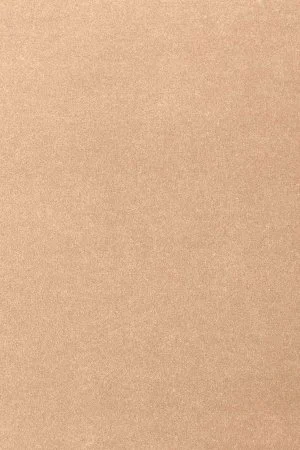 Ковровое покрытие AW Oinone 08 - (5м) в Казани