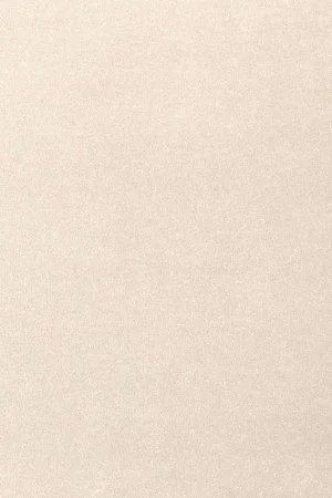 Ковровое покрытие AW Oinone 03 - (5м) в Казани