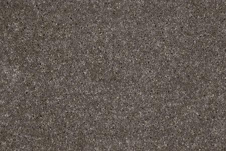 Ковровое покрытие AW Gala 49 - (4м) в Казани