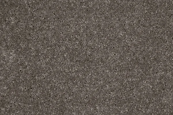 Ковровое покрытие AW Gala 49 - (4м) в Казани