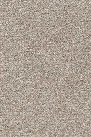 Ковровое покрытие AW Stainguard Harvest 04 - (4м) в Казани