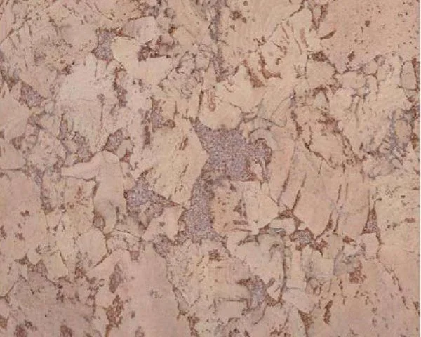 Настенное пробковое покрытие CorkArt PW 324 NK в Казани