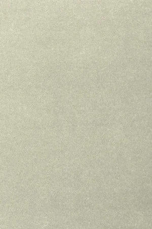 Ковровое покрытие AW Oinone 02 - (5м) в Казани