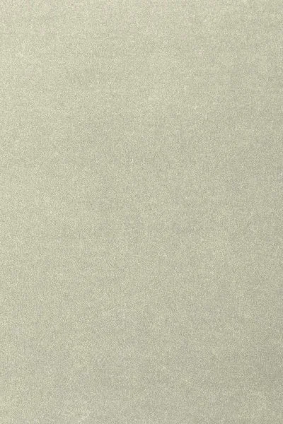 Ковровое покрытие AW Oinone 02 - (4м) в Казани