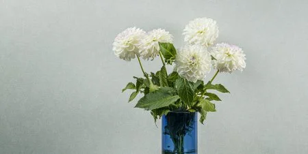 Обои Loymina Shade vol.2 SDR5, 001 в Казани