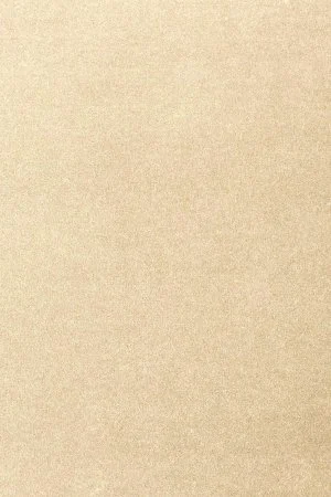 Ковровое покрытие AW Oinone 33 - (5м) в Казани