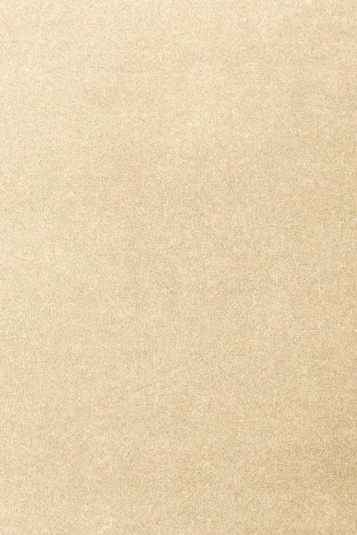 Ковровое покрытие AW Oinone 33 - (4м) в Казани