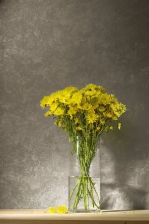 Обои Loymina Golden Library TDG 7, 008 в Казани