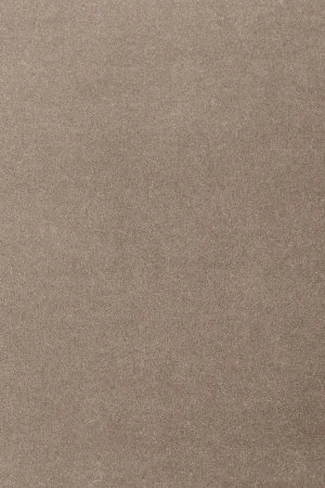 Ковровое покрытие AW Oinone 49 - (4м) в Казани