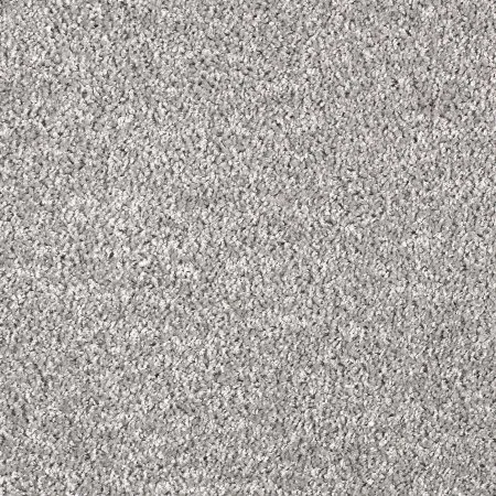 Ковровое покрытие AW Kiama 97 - (5м) в Казани