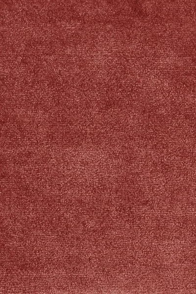 Ковровое покрытие AW Omphale 10 - (5м) в Казани