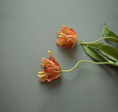 Обои Loymina Russian Classic Ru10, 006 в Казани