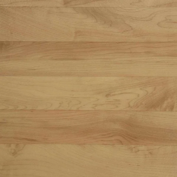 Спортивный линолеум Tarkett Omnisports Action 65 Cold Beech в Казани