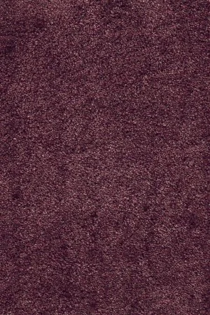 Ковровое покрытие AW Fedone 19 - (5м) в Казани