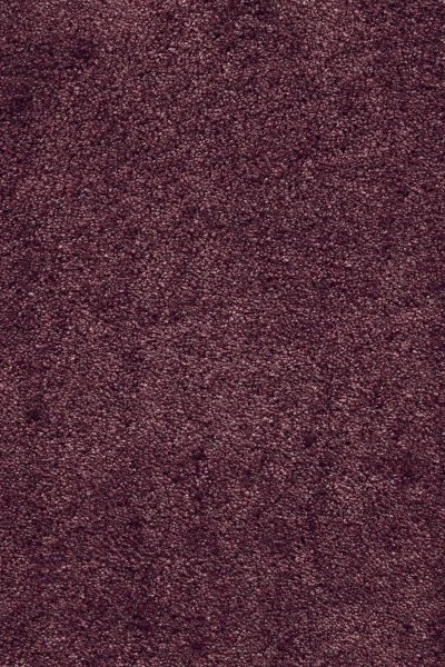 Ковровое покрытие AW Fedone 19 - (5м) в Казани