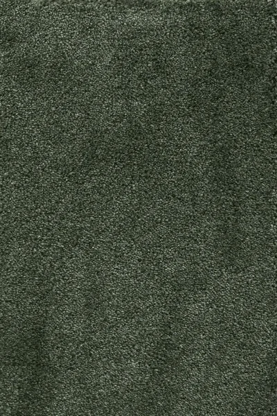 Ковровое покрытие AW Fedone 24 - (5м) в Казани