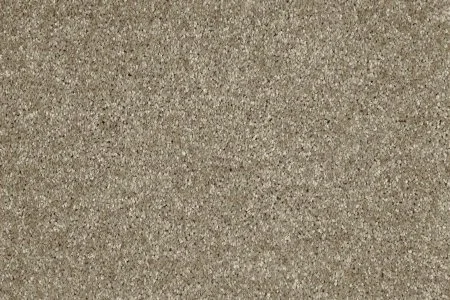 Ковровое покрытие AW Gala 33 - (5м) в Казани