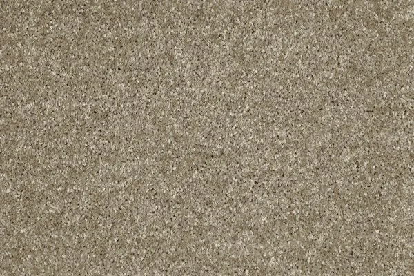 Ковровое покрытие AW Gala 33 - (4м) в Казани