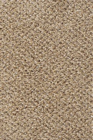 Ковровое покрытие AW Stainaway Tweed 50 - (4м) в Казани