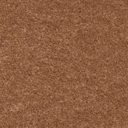 Ковровое покрытие AW Euphoria 84 - (5м) в Казани