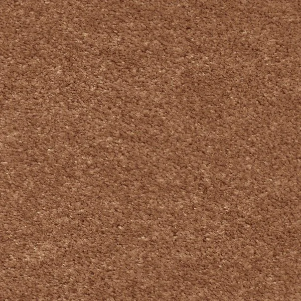 Ковровое покрытие AW Euphoria 84 - (5м) в Казани