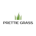 Искусственная трава Prettie Grass купить в Казани по выгодной цене Искусственная трава Prettie Grass в Казани
