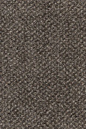 Ковровое покрытие AW Stainaway Tweed 96 - (4м) в Казани