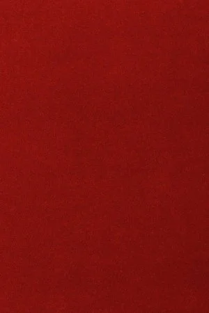 Ковровое покрытие AW Oinone 10 - (4м) в Казани