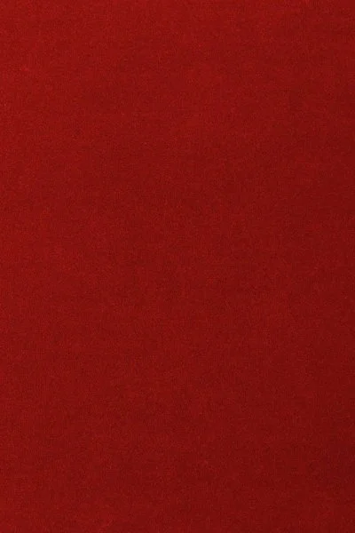 Ковровое покрытие AW Oinone 10 - (5м) в Казани