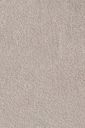 Ковровое покрытие AW Messalina 37 - (5м) в Казани